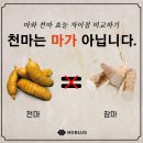 향토길추어탕 | [전북 무주] 무주 여행 맛집 추천, 무주어죽, 천마어죽, 도리뱅뱅이 후기