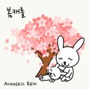 레인뮤직 이미지