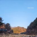 뮤젠 | 내돈내산 뮤젠 와일드 미니 블루투스 스피커, 캠핑용 솔직 후기