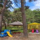 상주드림키즈풀빌라 이미지