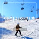 리더짐 어린이 스포츠 센터 | 2024 2025 엘리시안강촌 스키장 개장일 리더짐 사당 어린이 스키 강습 일정 비용