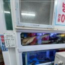 구명애포항물회 이미지