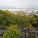 영축산 순환산책로 이미지