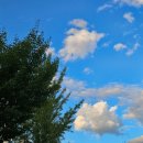 국수나무창신점 | 아직도 사진 정리 ing,,,