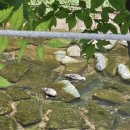 세븐일레븐 인천마전점 이미지