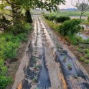 동트는농원 이미지