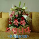 대구광역시중구보건소 이미지