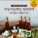 처음매실