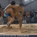 씨름 조오오오올라 섹시하게 하는 노범수. 허선행 이미지