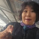 근정농장 네이버블로그