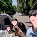 [제주 여행] 5개월 아이와 함께했던 제주여행 4박 5일 코스 정리(제주 여행, 숙소, 항공, 맛집 등)