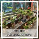 정원하우스 | 경기도 근교 데이트 안산 유니스정원 보타닉하우스 후기