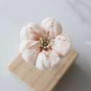 :: 11~12월 김포 원데이클래스 수업공지 ::