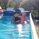 히든포레 이미지