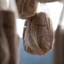 점순 농장 이미지