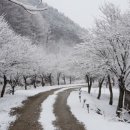 펜션바우