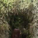 멍데이 살롱 이미지