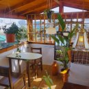 월정포인트 이미지