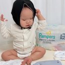 오복소프트 | 기저귀추천 낮기저귀 팸퍼스 엔젤브리즈 소프트팬티 흡수력 후기 ​