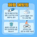 3대 사망원인 &#39;폐렴&#39; 고령층엔 위험 이미지