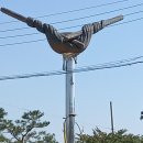 경산자전거오아시스 이미지