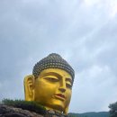 이상하고 특이한 와우정사 뽀개기