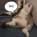 땡기네노래방 이미지