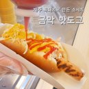 탐나금악 협동조합 | 금악마을 제주 핫도그 새로 생긴 금악리 맛집