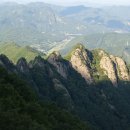 (구)공설운동장 앞 이미지