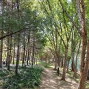 장산작은도서관 이미지