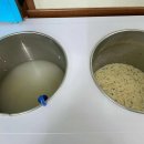 채남칼국수앞 이미지