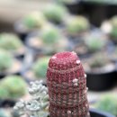 청목농장 이미지