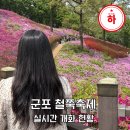 수리산둘레길 | 군포 철쭉축제 일정 가는 법 주차 후기