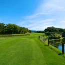 티샷 골프연습장 이미지