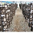 신대농장 이미지