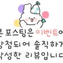 로이레스튜디오 이미지