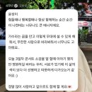 탈빠콘(아님) 후기
