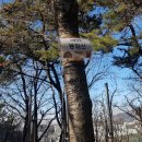 산마트 이미지