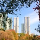 봄여름가을이야기 이미지