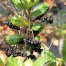 부농 농장 이미지