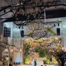 수원-1132 | 수원 웨딩홀 탐방기 [라뷔포레(호텔리츠),이비스,루클라비,메리빌리아]