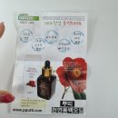 자연친화적 페이스오일 추천 | 뿌띠 제주산 동백오일 다용도 사용 후기