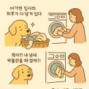 비밀