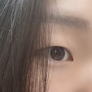 대전 둔산동 속눈썹펌 자연스러운 컬링 베스티네일