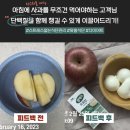또래친구들