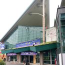 일산 호수야 놀자 세계 꽃 문화관광축제 방문 후기
