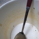 세븐일레븐 유성휴먼시아점 | 매콤 칼칼한 우불식당 즉석우동 먹어본 후기