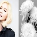 이평2 이미지