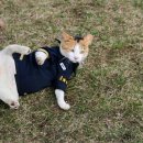 부산강서경찰서 이미지