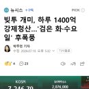 빚투 개미, 하루 1400억 강제청산…'검은 화·수요일' 후폭풍 이미지